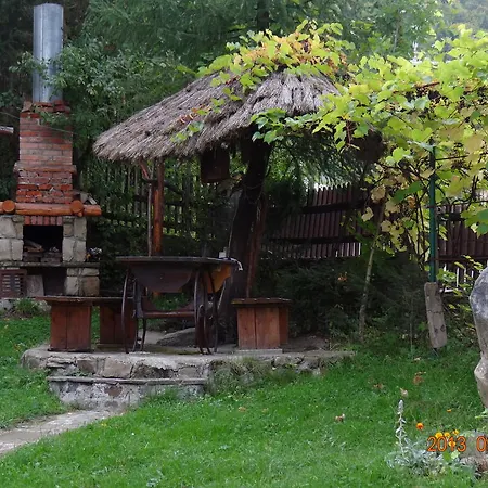 Hotel Vatra *